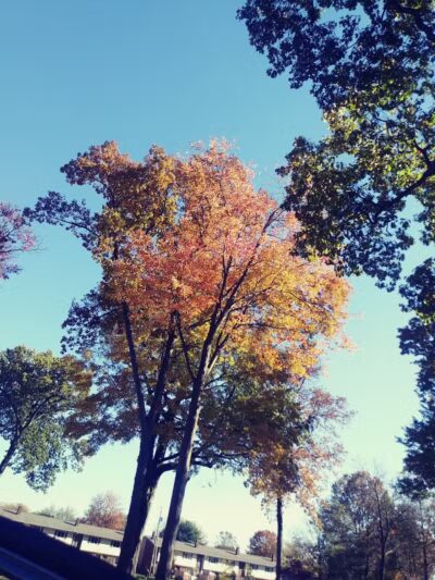 Hartville Memorial Park - Hartville, OH