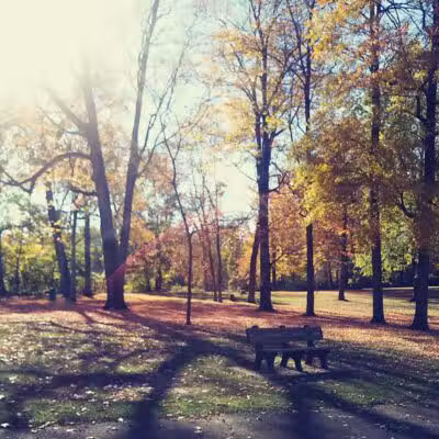 Hartville Memorial Park - Hartville, OH