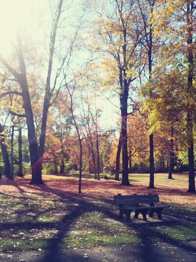 Hartville Memorial Park - Hartville, OH