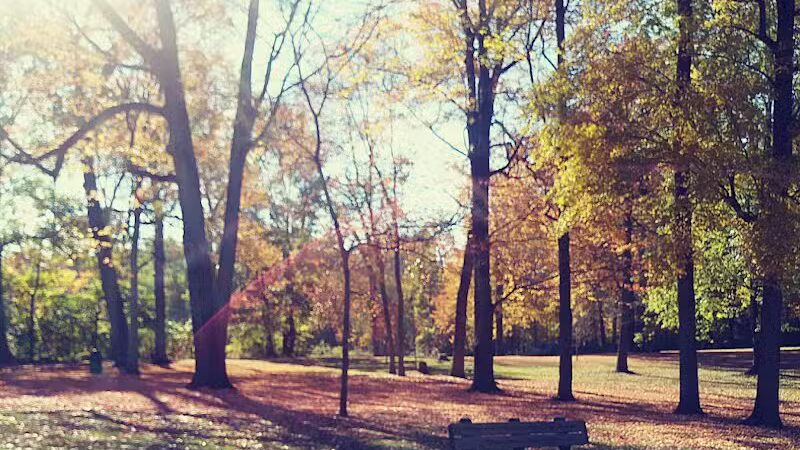 Hartville Memorial Park - Hartville, OH