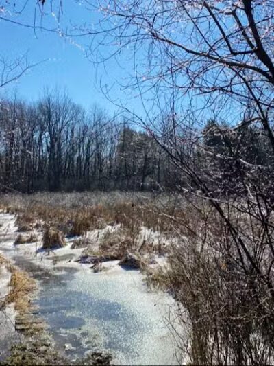 Quail Hollow Park - Hartville, OH