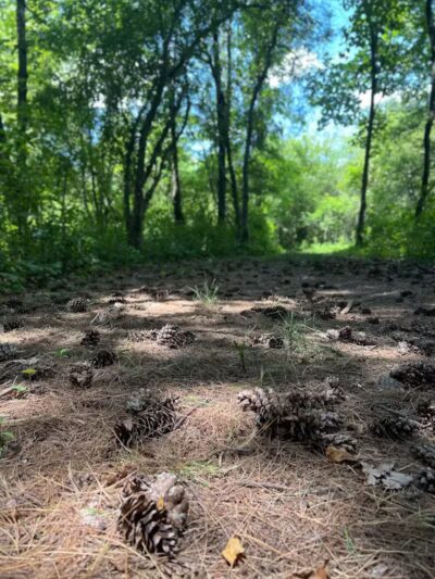 Quail Hollow Park - Hartville, OH