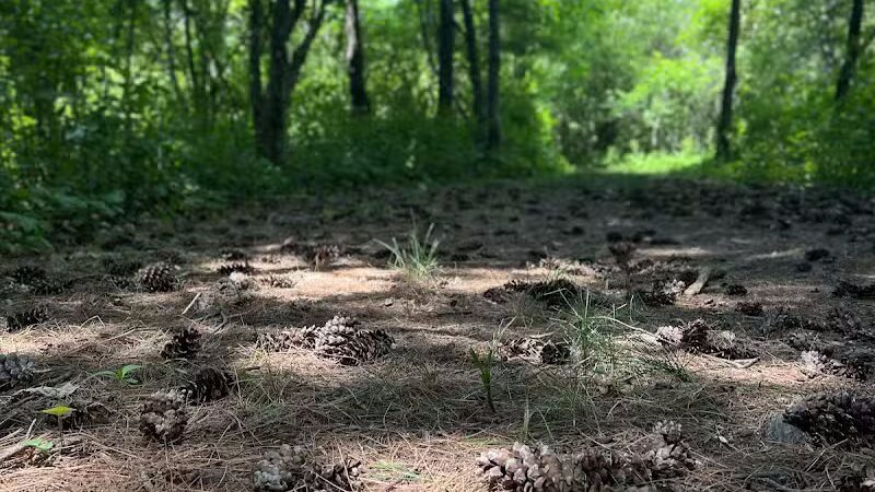 Quail Hollow Park - Hartville, OH
