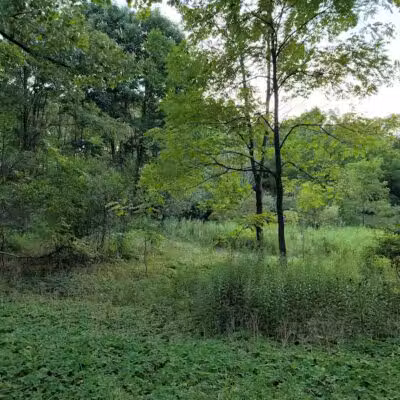 Quail Hollow Park - Hartville, OH