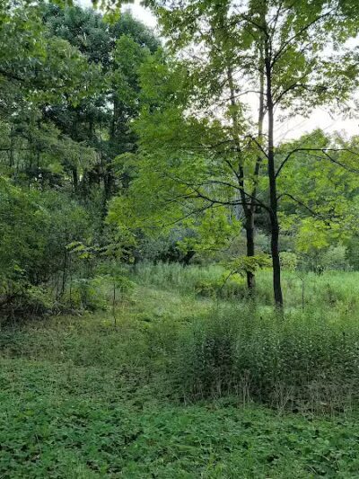 Quail Hollow Park - Hartville, OH