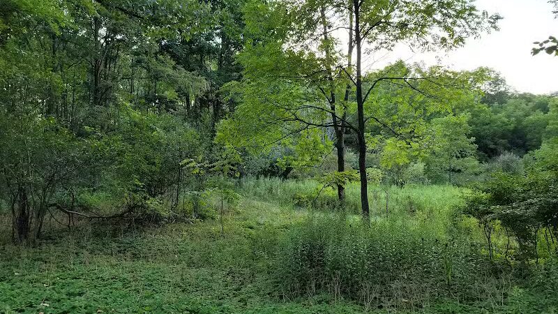 Quail Hollow Park - Hartville, OH