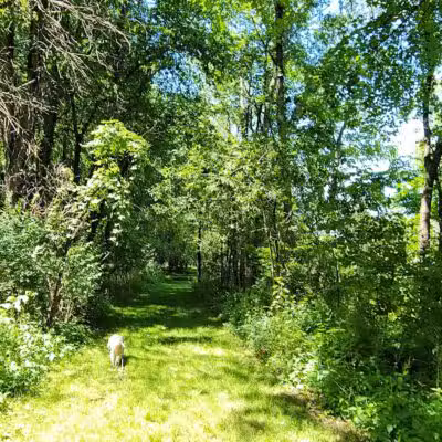 Stark County Park District- Fichtner Park - Hartville, OH