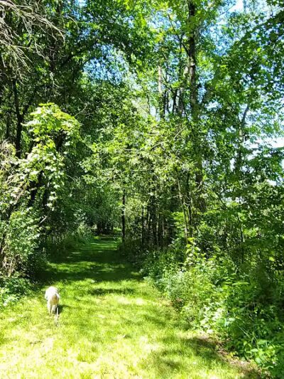 Stark County Park District- Fichtner Park - Hartville, OH