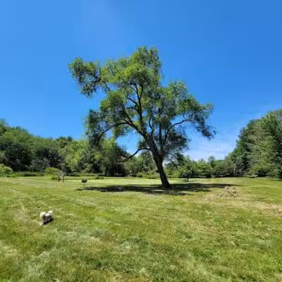 Stark County Park District- Fichtner Park - Hartville, OH