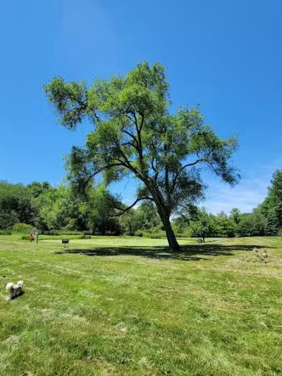 Stark County Park District- Fichtner Park - Hartville, OH