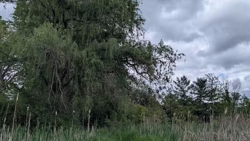 Stark County Park District- Fichtner Park - Hartville, OH