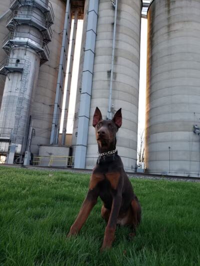 Lusher Park - Haskins, OH