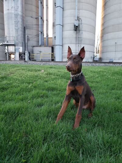 Lusher Park - Haskins, OH