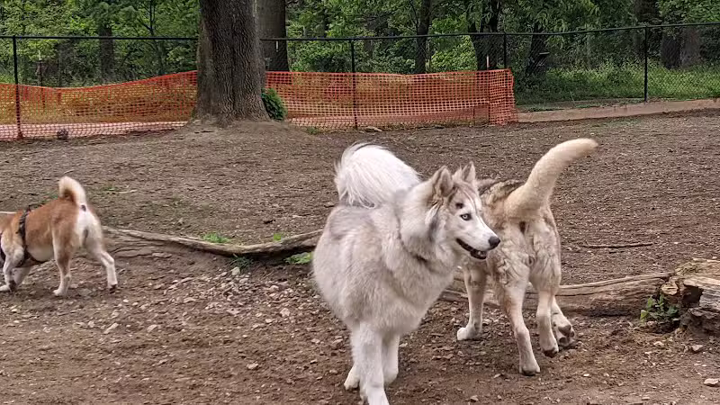 Haverford Reserve Dog Park - Haverford, PA
