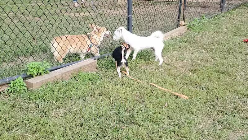 Haverford Reserve Dog Park - Haverford, PA