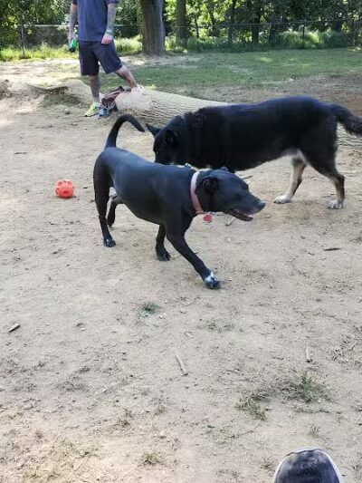 Haverford Reserve Dog Park - Haverford, PA