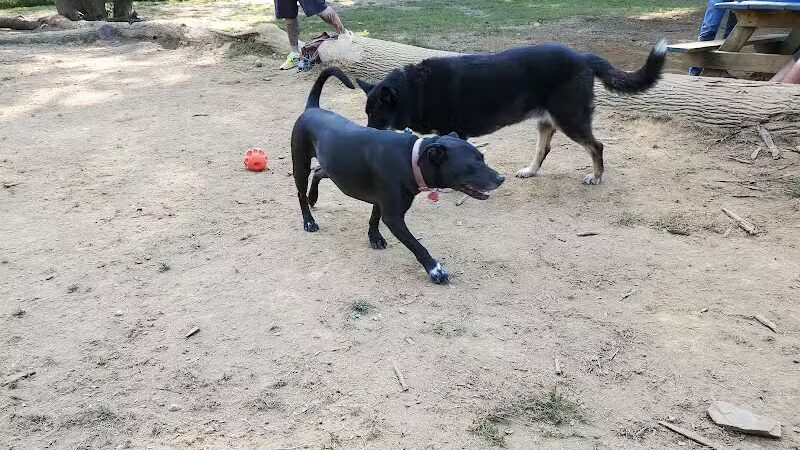 Haverford Reserve Dog Park - Haverford, PA