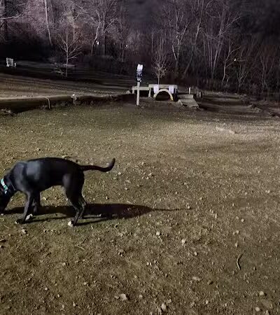 Haverford Reserve Dog Park - Haverford, PA