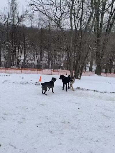 Haverford Reserve Dog Park - Haverford, PA