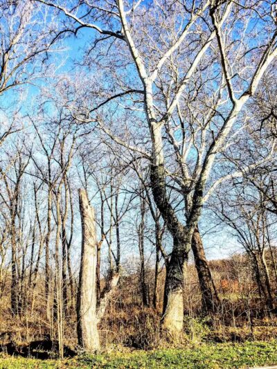 Hoback Park - Heath, OH