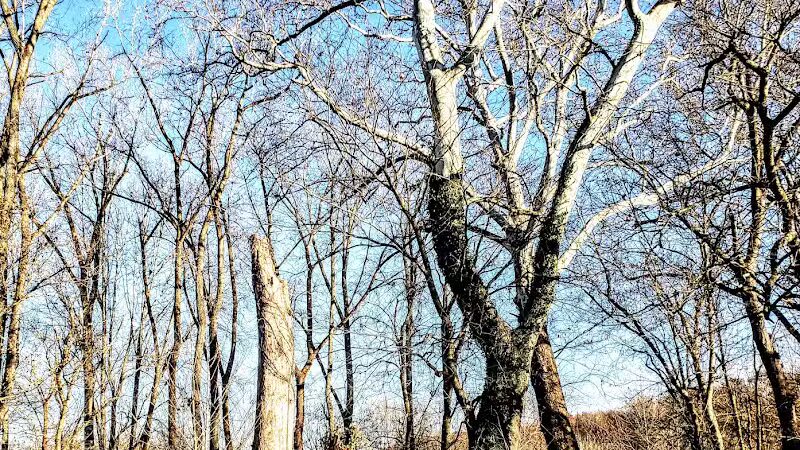 Hoback Park - Heath, OH