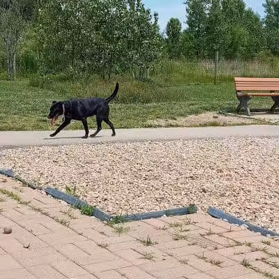 Heritage Trail Park - Hilliard, OH