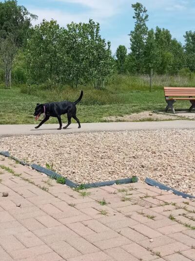 Heritage Trail Park - Hilliard, OH