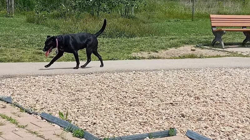 Heritage Trail Park - Hilliard, OH