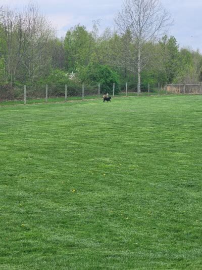 Heritage Trail Park - Hilliard, OH