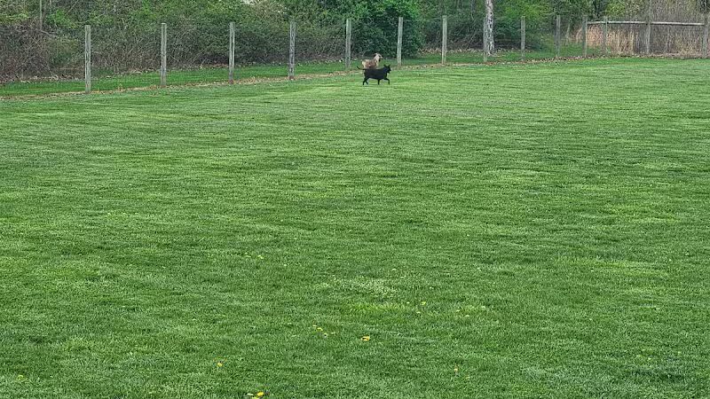 Heritage Trail Park - Hilliard, OH