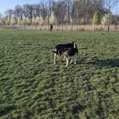 Heritage Trail Park - Hilliard, OH