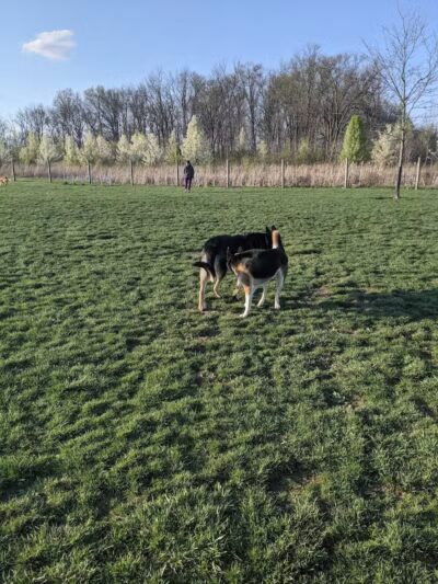 Heritage Trail Park - Hilliard, OH