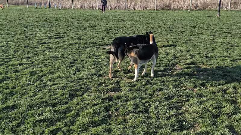 Heritage Trail Park - Hilliard, OH