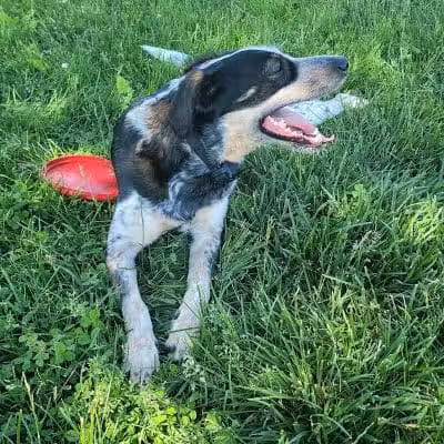 Heritage Trail Park - Hilliard, OH