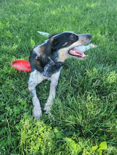 Heritage Trail Park - Hilliard, OH