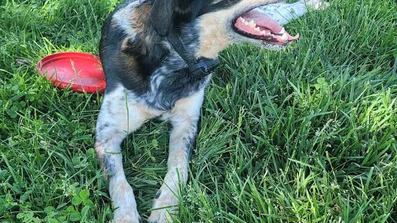 Heritage Trail Park - Hilliard, OH