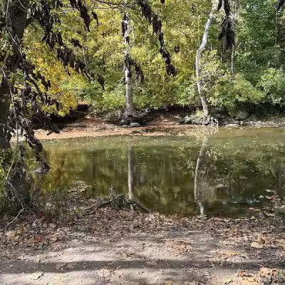 Prairie Oaks Dog Beach - Hilliard, OH