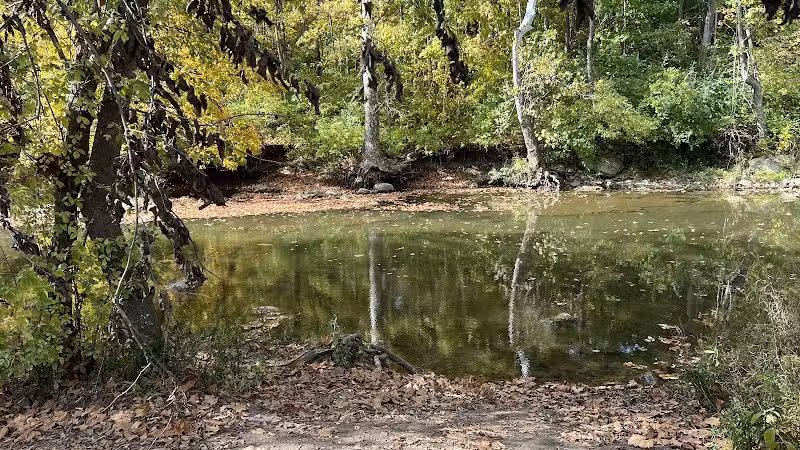 Prairie Oaks Dog Beach - Hilliard, OH