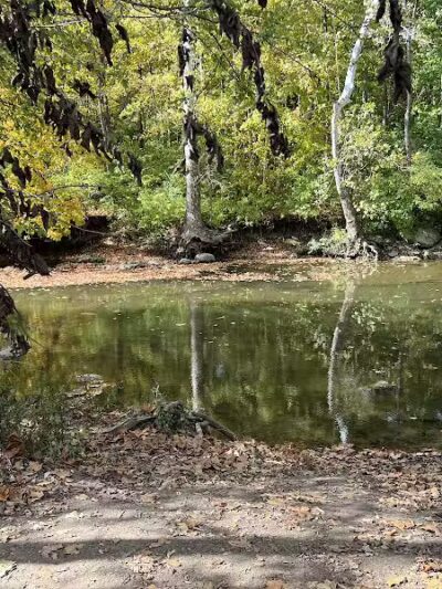 Prairie Oaks Dog Beach - Hilliard, OH