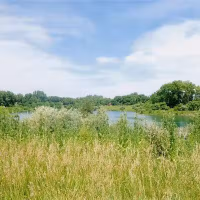 Prairie Oaks Dog Beach - Hilliard, OH