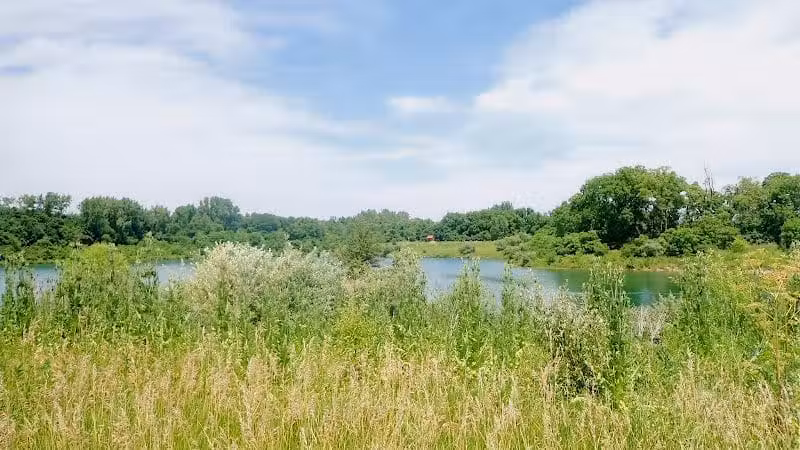 Prairie Oaks Dog Beach - Hilliard, OH