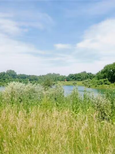 Prairie Oaks Dog Beach - Hilliard, OH