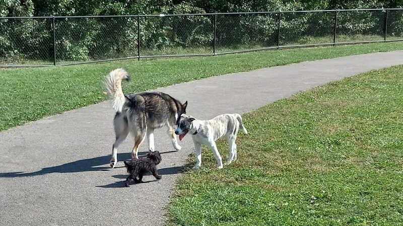 Spindler Dog Park - Hilliard, OH