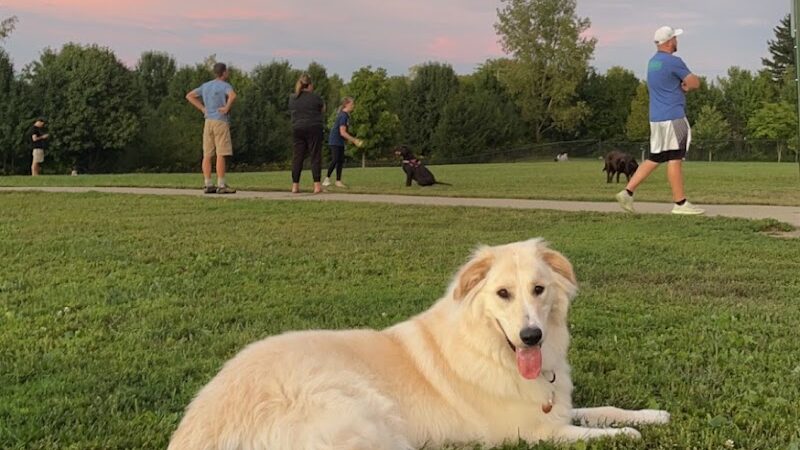 Spindler Dog Park - Hilliard, OH