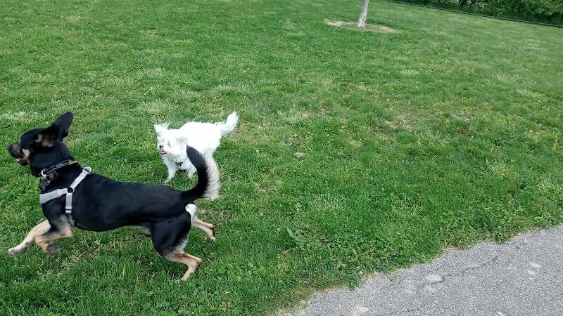 Spindler Dog Park - Hilliard, OH