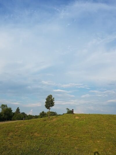 Spindler Dog Park - Hilliard, OH