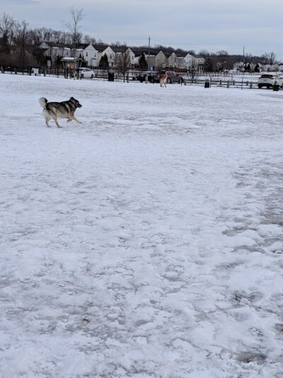 Spindler Dog Park - Hilliard, OH