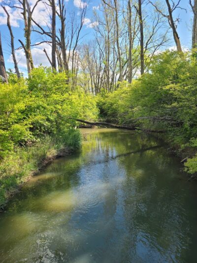 Spindler Dog Park - Hilliard, OH