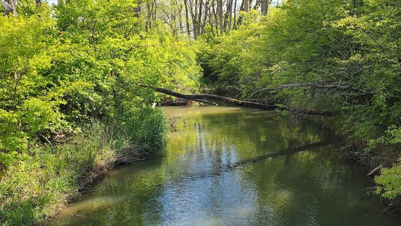 Spindler Dog Park - Hilliard, OH
