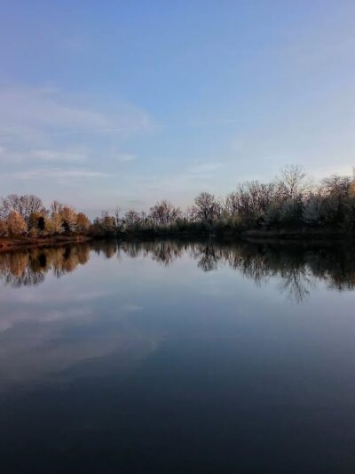 Spindler Dog Park - Hilliard, OH